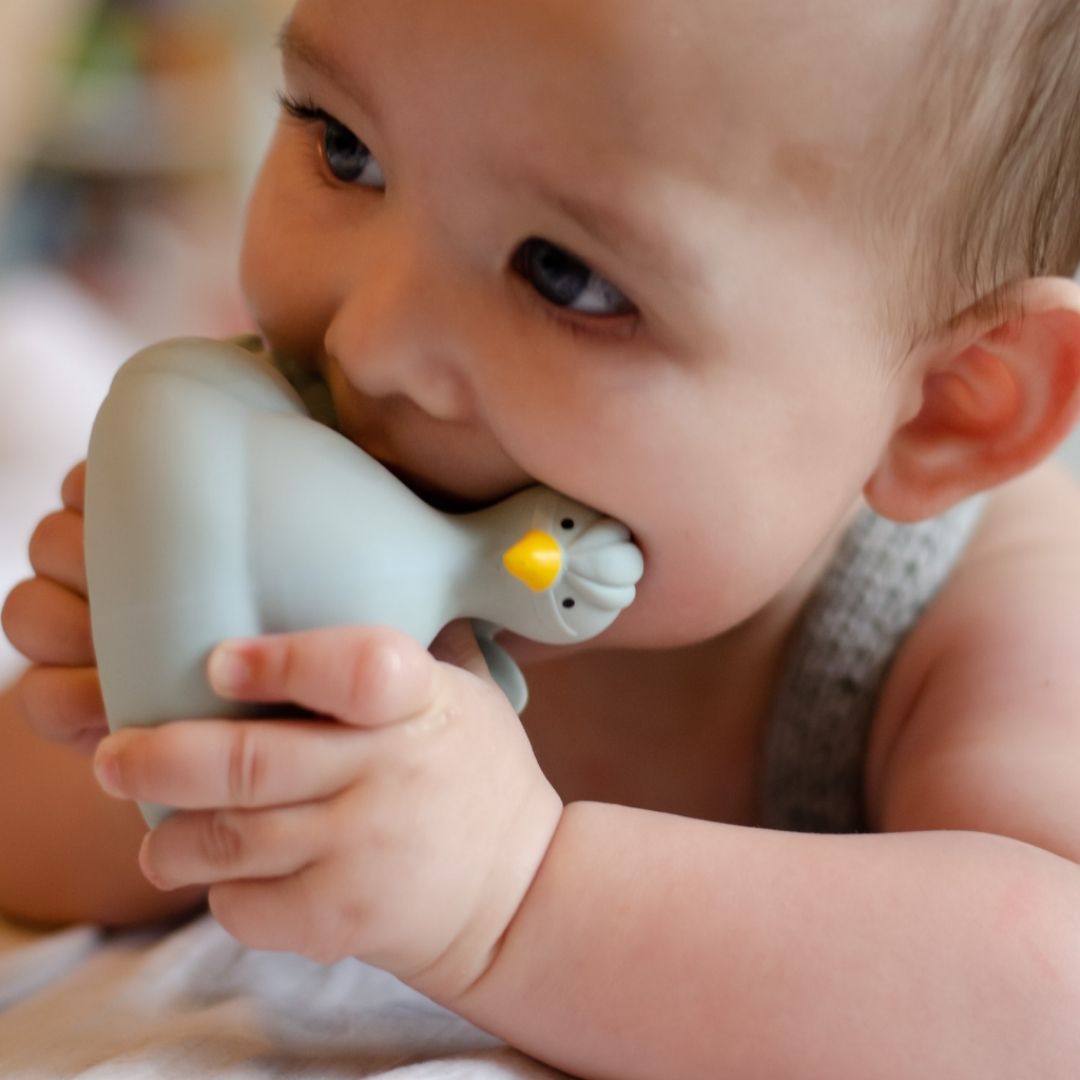 Baby bider i lyseblå påfugl badedyr i naturgummi fra Natruba fås hos Nordic Simply