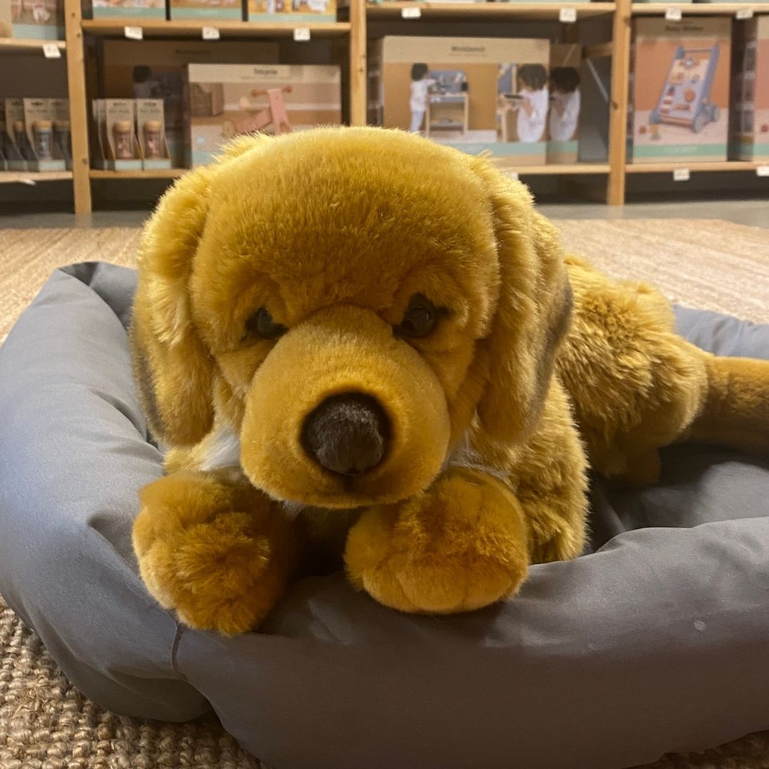 Stor Golden Retriever bamse, ligger i grå hundekurv hos Nordic Simply, ligner ægte lys Golden Retriever hund fra Teddy Hermann