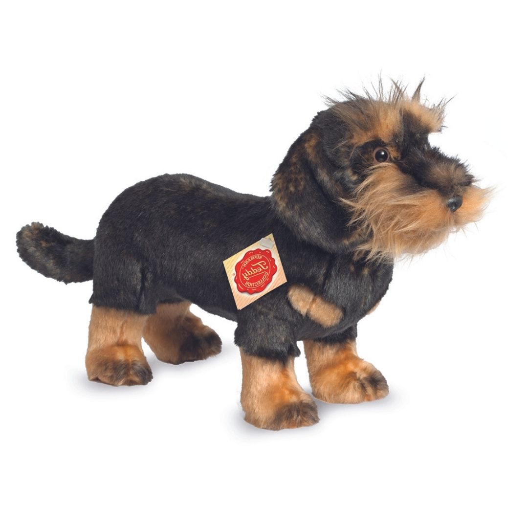 Ruhåret gravhund bamse, der står, ligner ægte gravhund fra Teddy Hermann fås hos Nordic Simply