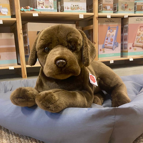 Stor brun labrador bamse, set tæt på, ligger i grå hundekurv hos Nordic Simply, ligner ægte chokoladebrun labrador hund fra Teddy Hermann.