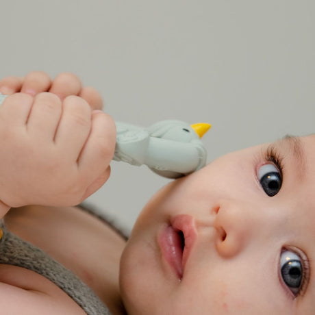 Baby holder lyseblå bidering formet som en påfugl i naturgummi fra Natruba fås hos Nordic Simply