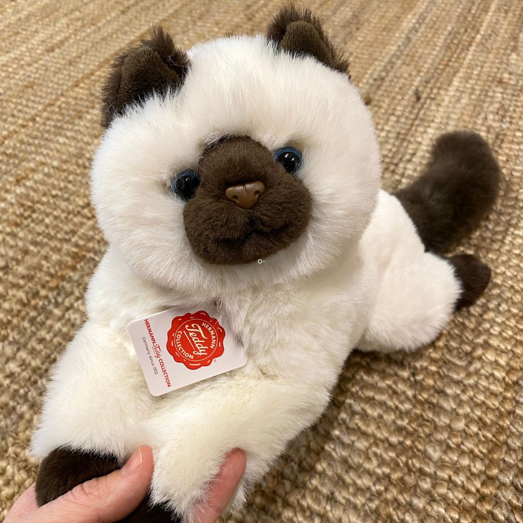 Hånd rører ved hvid og sort Birma kattebamse med store blå øjne, og busket hale, imens den ligger på lyst gulvtæppe, hos Nordic Simply