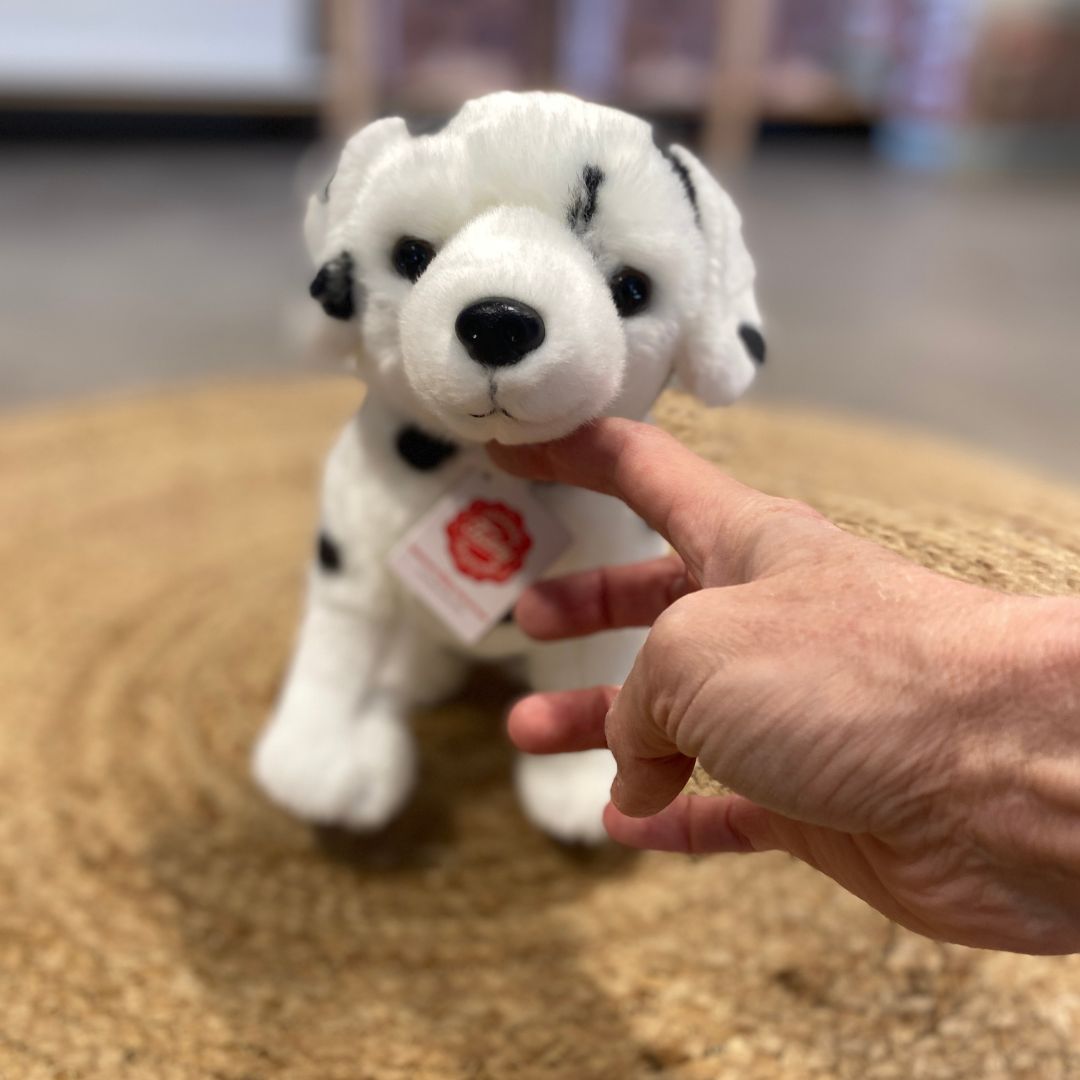 dalamatiner bamsehund ser op imens den står på tæppe.