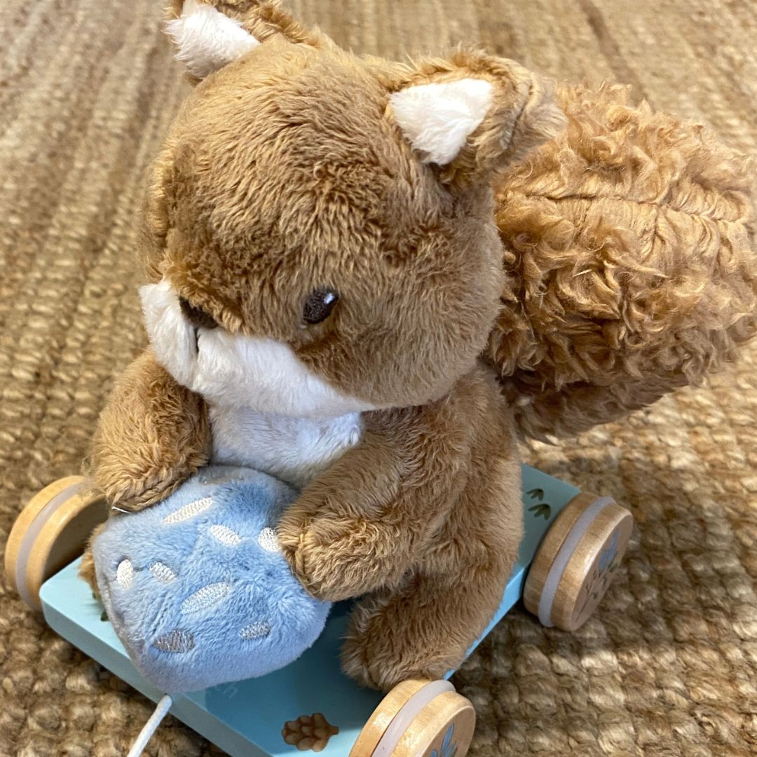 Egern bamse set tæt på på trækvogn fra Little Dutch, legetøj til børn 18 måneder, klar til eventyr!