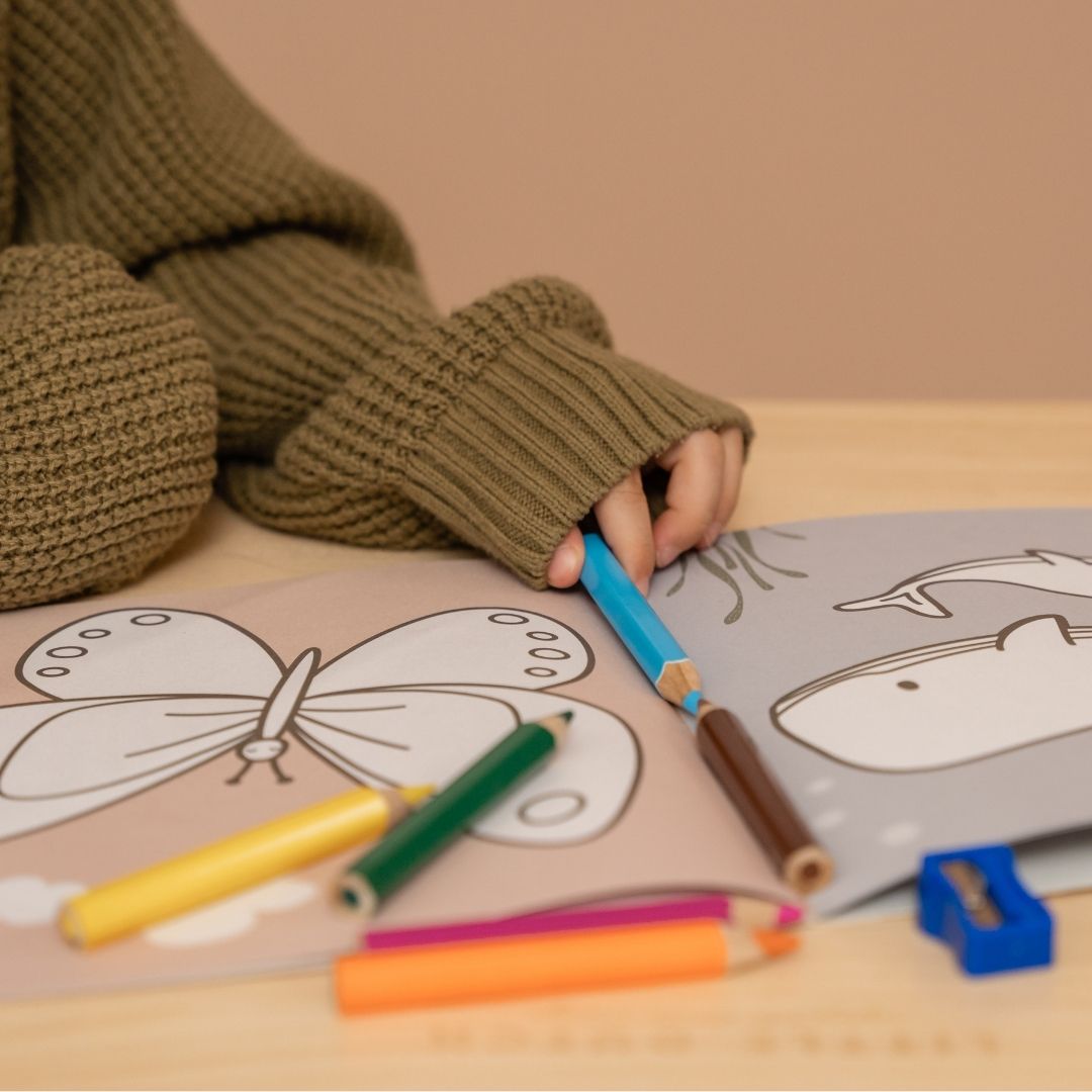 Hånd med lyseblå farveblyant og flere i farveblyanter der ligger på tegnebog fra Little Dutch