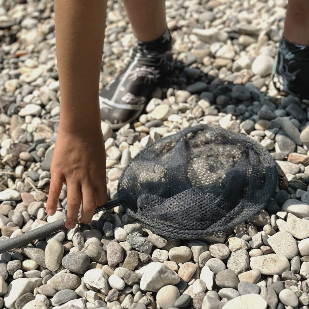 Hånd samler grå fiskenet, på teleskopstang, op fra stenstrand, fås hos Nordic Simply