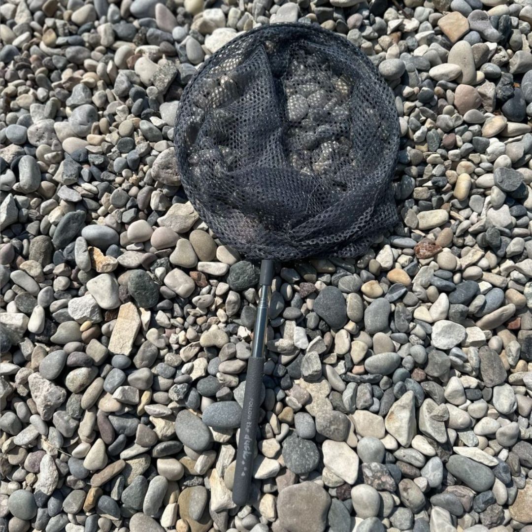 Antracit grå teleskop fiskenet, ligger stenstrand, fås hos Nordic Simply