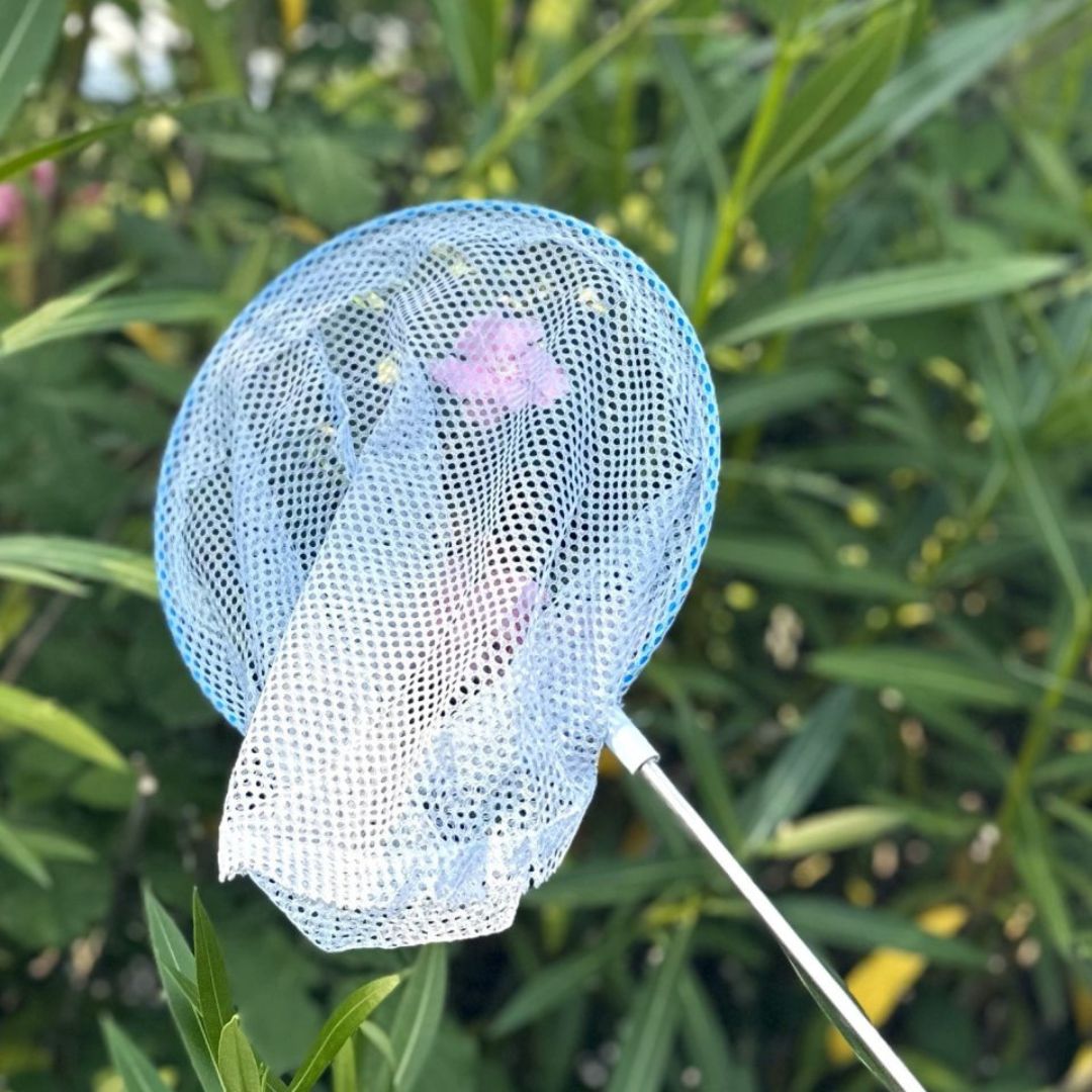 Blå fiskenet på teleskopstang ses foran grøn busk, fås hos Nordic Simply