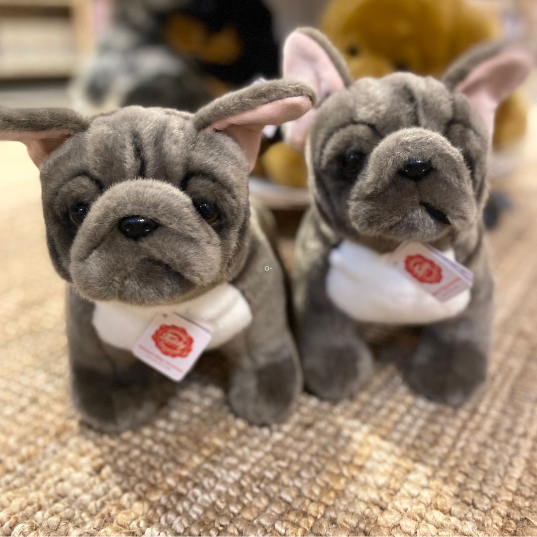 To franske bulldogs i grå, står i Nordic Simply showroom.