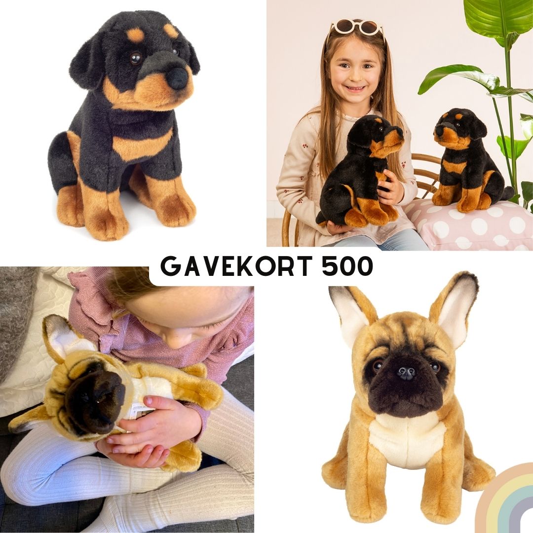 Legetøj fra Nordic Simply som illustration til gavekort på 500 kroner