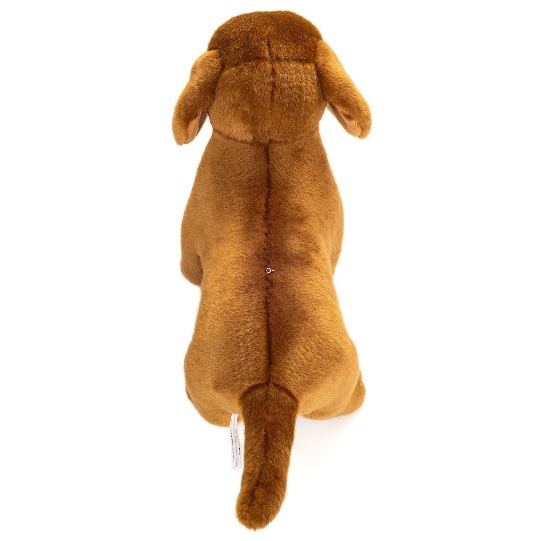 brun gravhund bamse set fra oven. Blød flot bamsehund, ligner ægte gravhund.