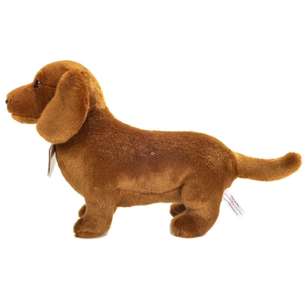 brun gravhund bamse med brune øjne, set fra siden. Blød flot bamsehund, ligner ægte gravhund.
