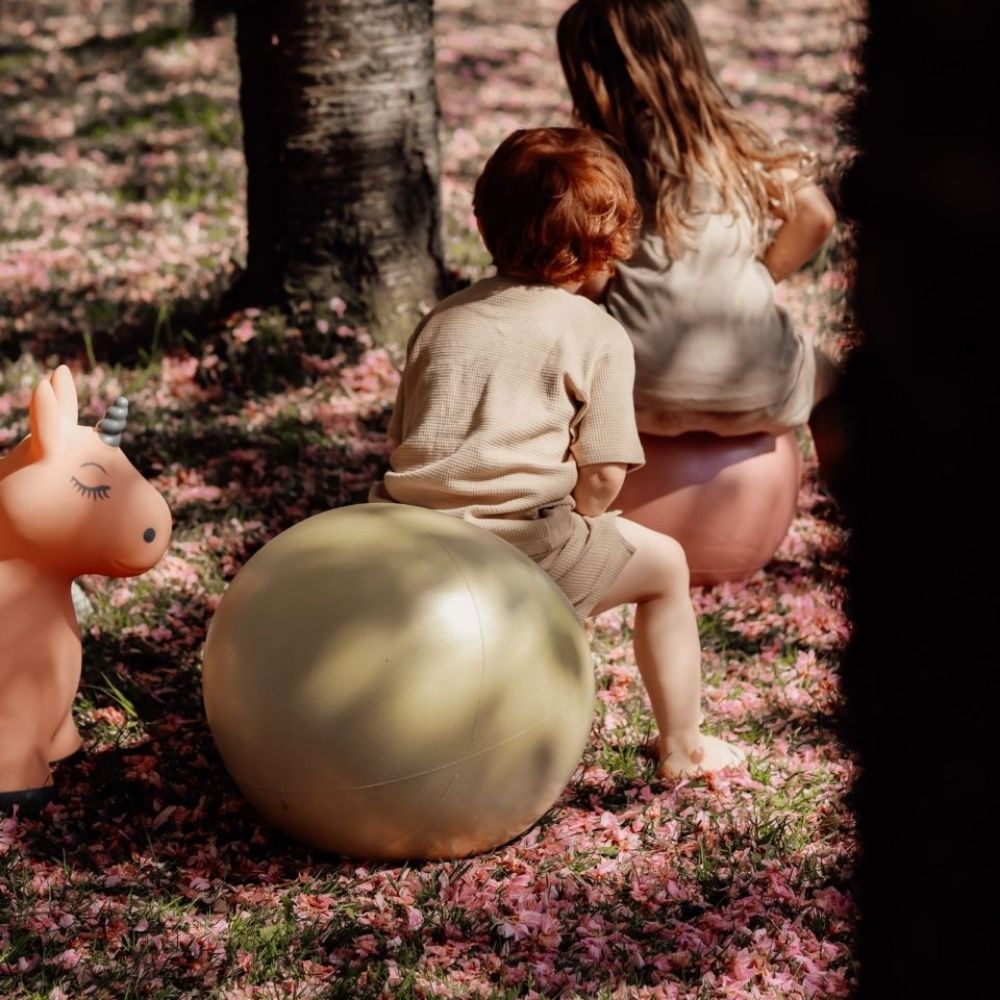 Børn leger i en park på hoppebolde fra Find that Hippo til sjov, aktiv leg, balance og motorik