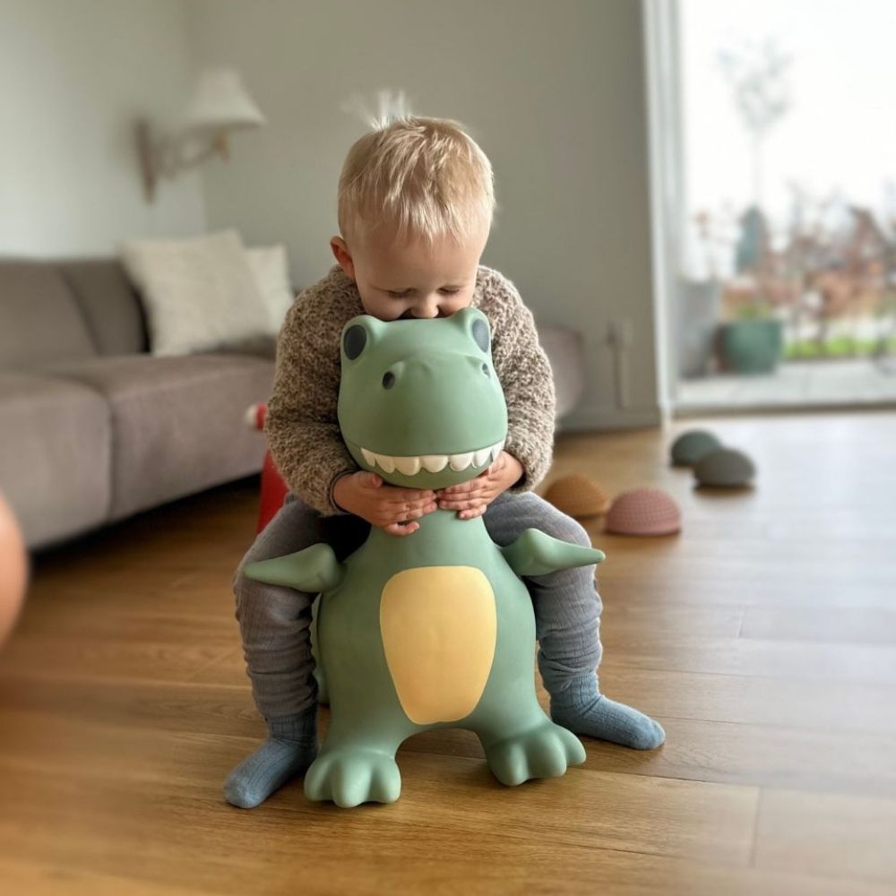 dreng i stue krammer støvet grøn dino hoppedyr fra Find that Hippo