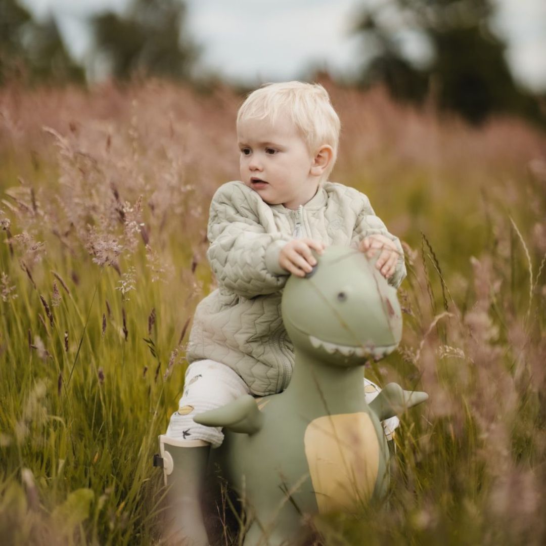 lille barn i eng, sidder på grøn dino hoppedyr fra Find that Hippo fås hos Nordic Simply