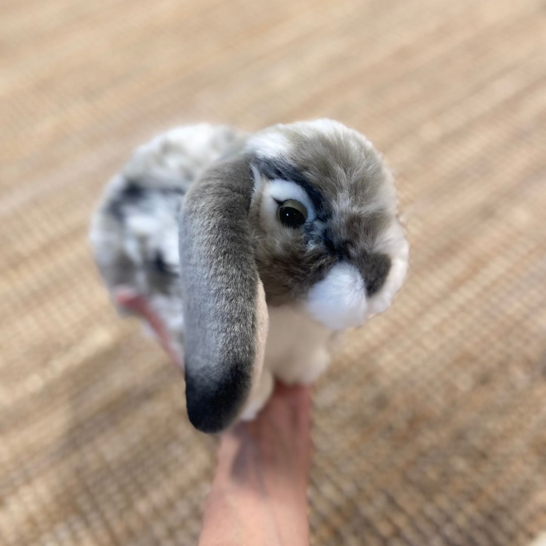 Vædderkanin bamse, grå med hængeører, ligner ægte kanin - holdt i hånden - perfekt til rolle- og fantasileg, fra Teddy Hermann fås hos Nordic Simply