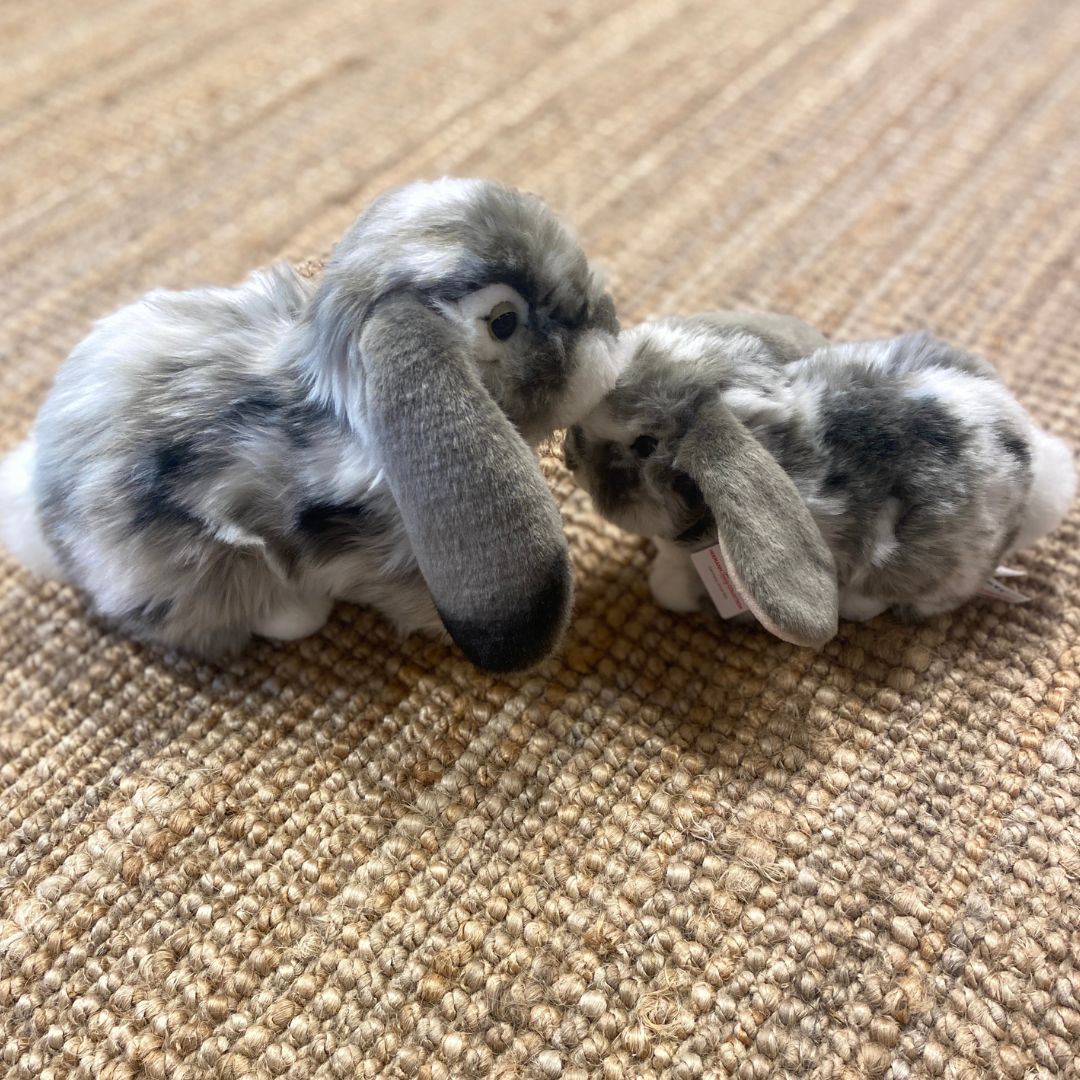 Grå-hvid vædder-kanin bamse med hængeører, ligner ægte kanin - her set sammen med dværgvædder kaninbamse - perfekt til rolle- og fantasileg, fra Teddy Hermann fås hos Nordic Simply