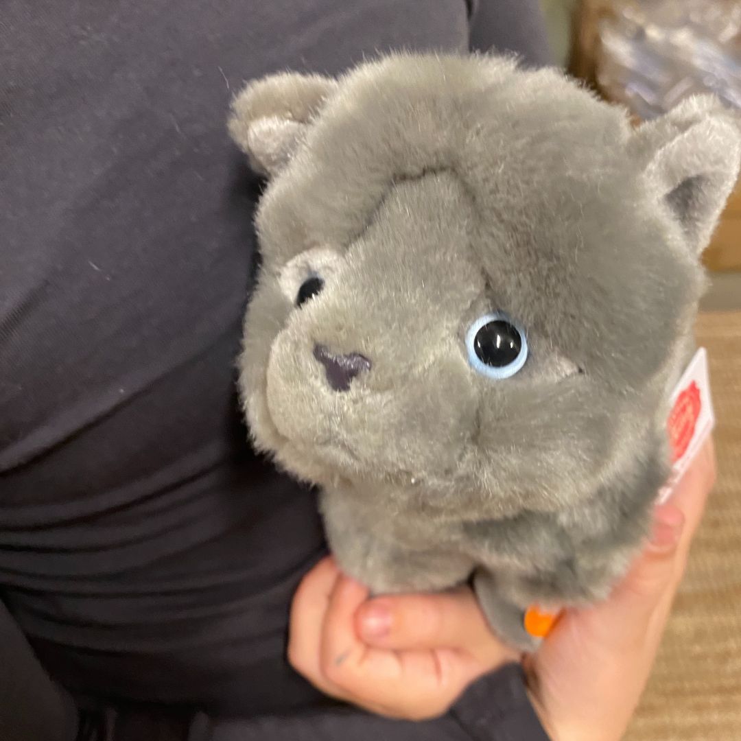 Barn med grå karteuser kattebamse med blå øjne fra Teddy Hermann