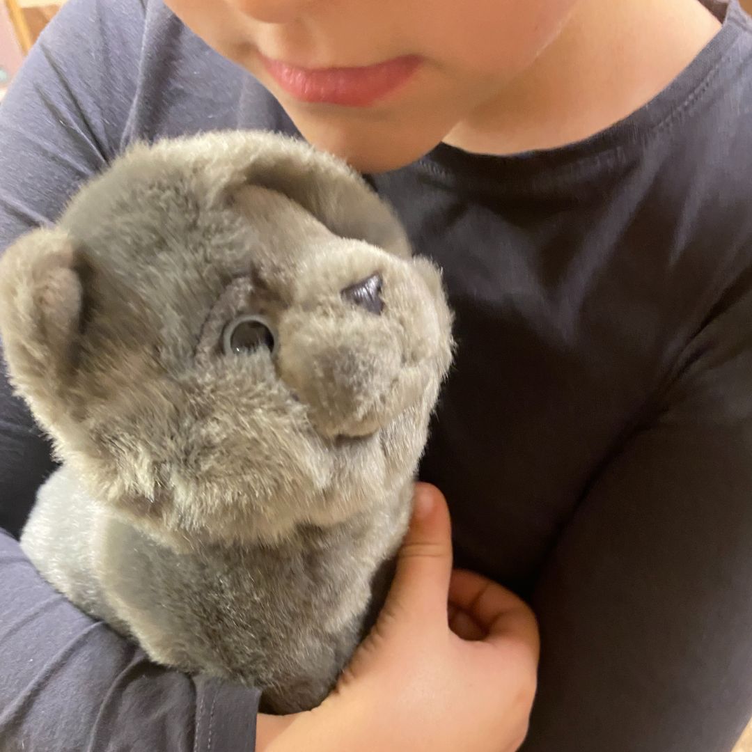 Barn der holder grå karteuser kattebamse fra Teddy Hermann hos Nordic Simply