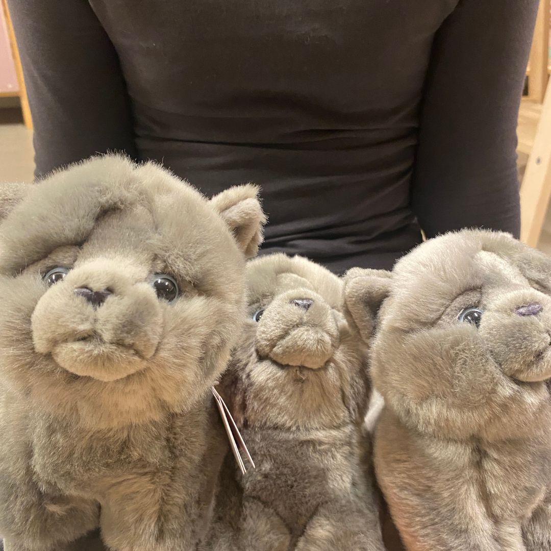 3 grå Karteuser kattebamser fra Teddy Hermann med blå øjne, 25 cm, hos Nordic Simply