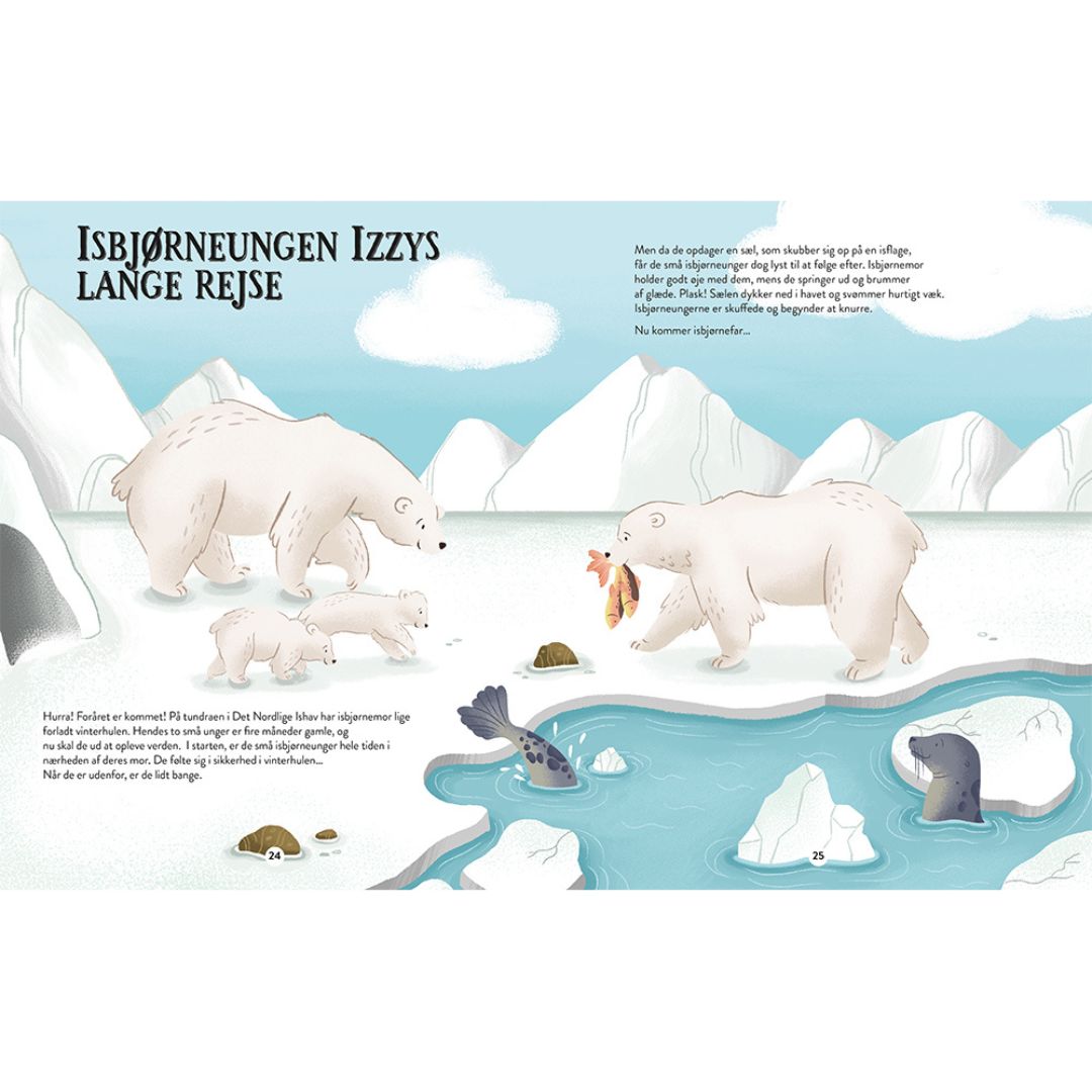 Side med isbjørne fra Sådan Passer Vi På Jorden, en stor flot bog, der forklarer klimaforandringer i børnehøjde, fås hos Nordic Simply