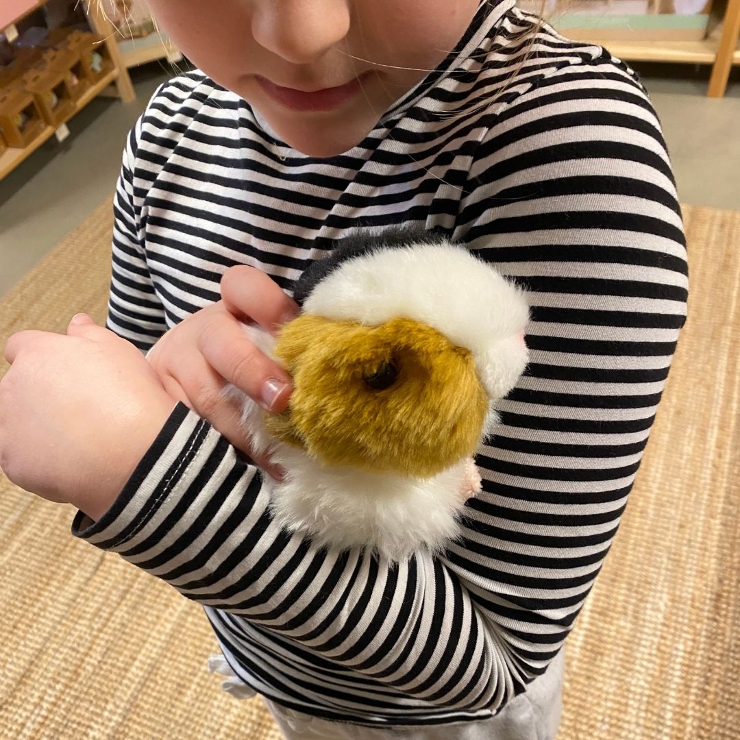 Barn holder trefarvet marsvin bamse, i sort, hvid rød, som et ægte kæledyr fås hos Nordic Simply