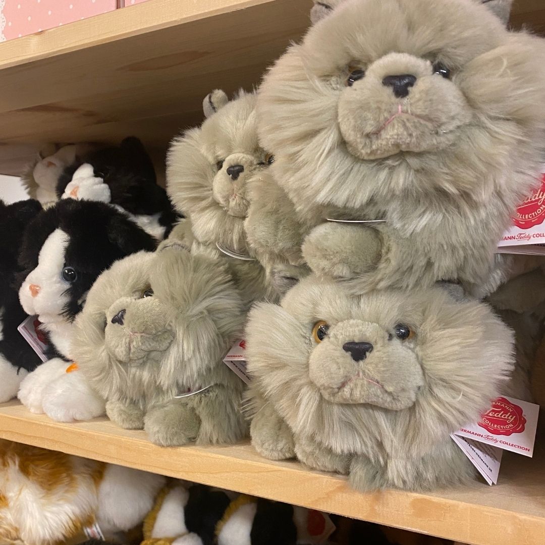 Perserkat bamser, der ligger på hylde hos Nordic Simply, set forfra, ligner ægte grå persere.