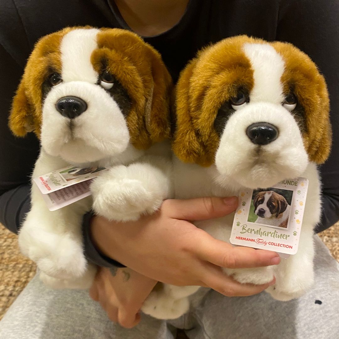 Barn med to bamse Sankt Bernhard hunde fra Teddy Hermann hos Nordic Simply