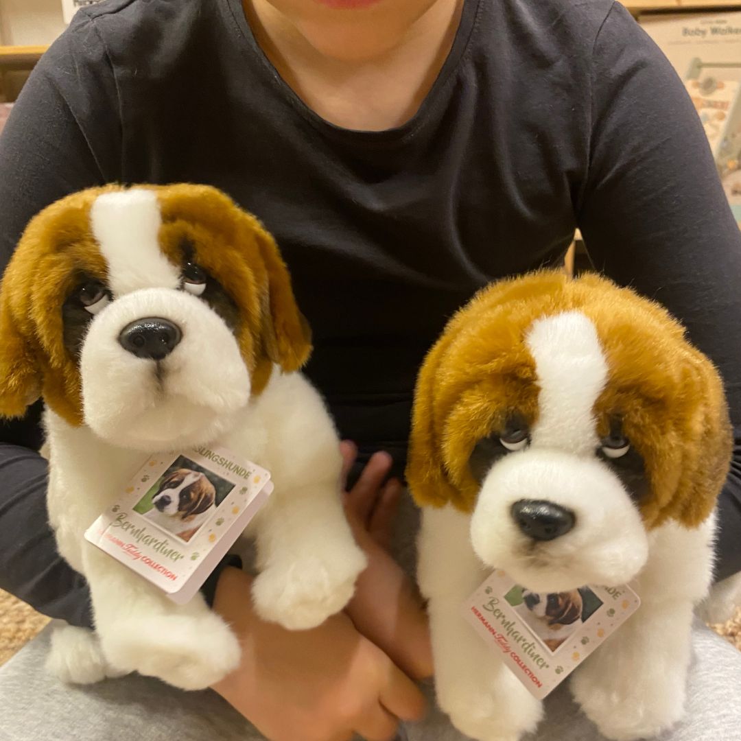 Barn med to bamse Sankt Bernhard hunde fra Teddy Hermann i favnen hos Nordic Simply