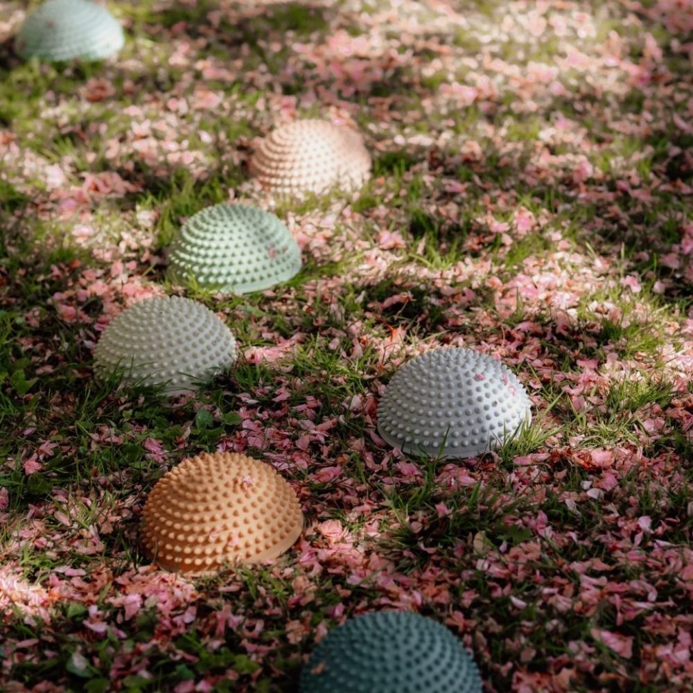 7 sansesten med knopper i mørke og lyse pastelfarver ligger udendørs i skovbund, fås hos Nordic Simply