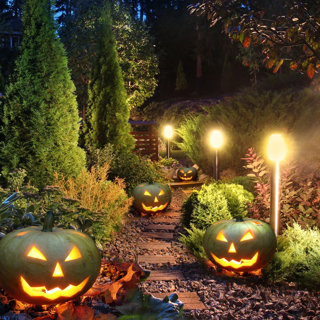 Græskar til halloween, perfekt pynt til halloween skattejagt fra Nordic Simply