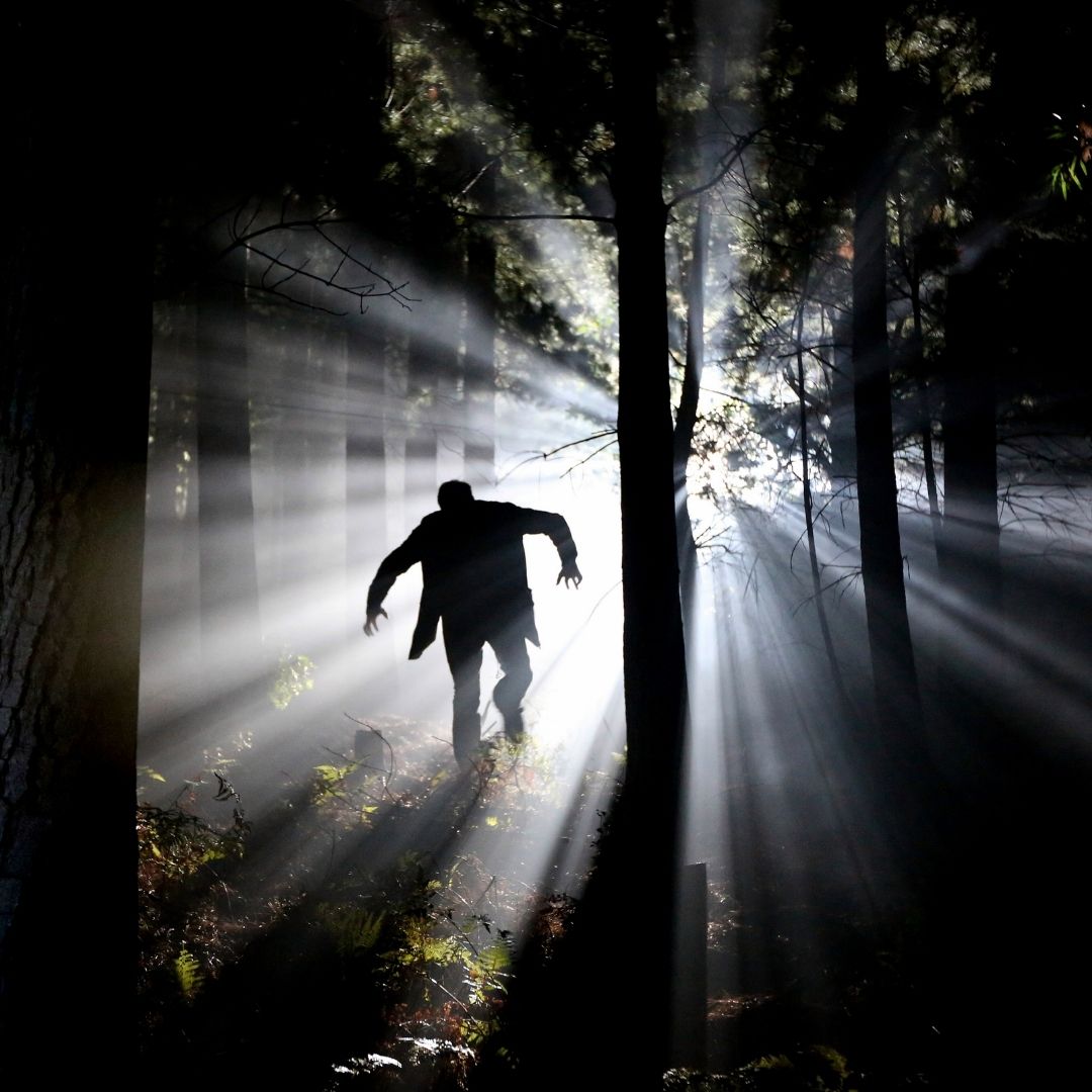 Illustration af Skyggen som indgår i spion-skattejagt for børn, i print selv udgave, fås hos Nordic Simply