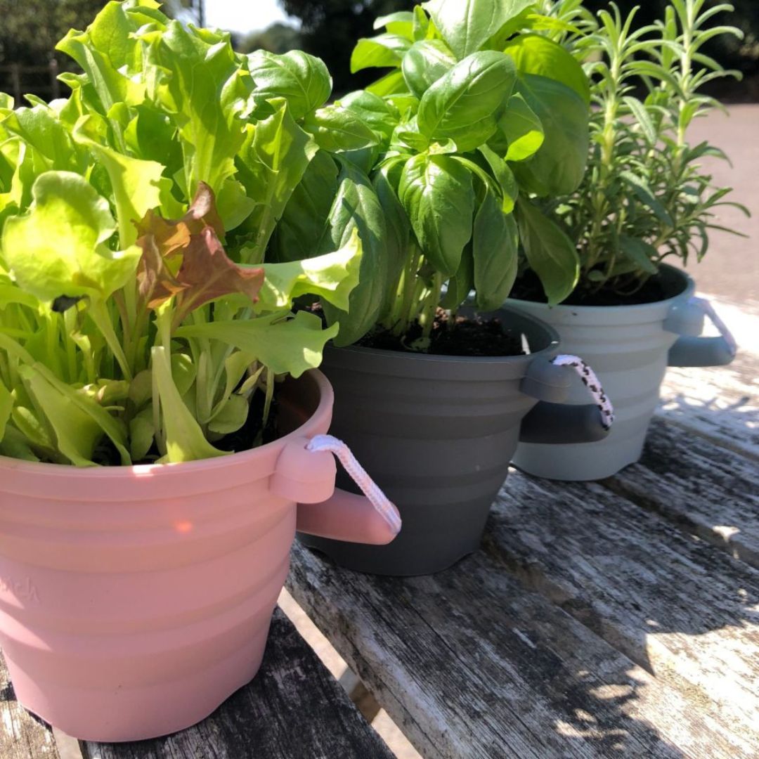 Tre små spande med krydderurter i, med spanden følger mini-skovl, spanden kan foldes og er let at tage med, fås hos Nordic Simply