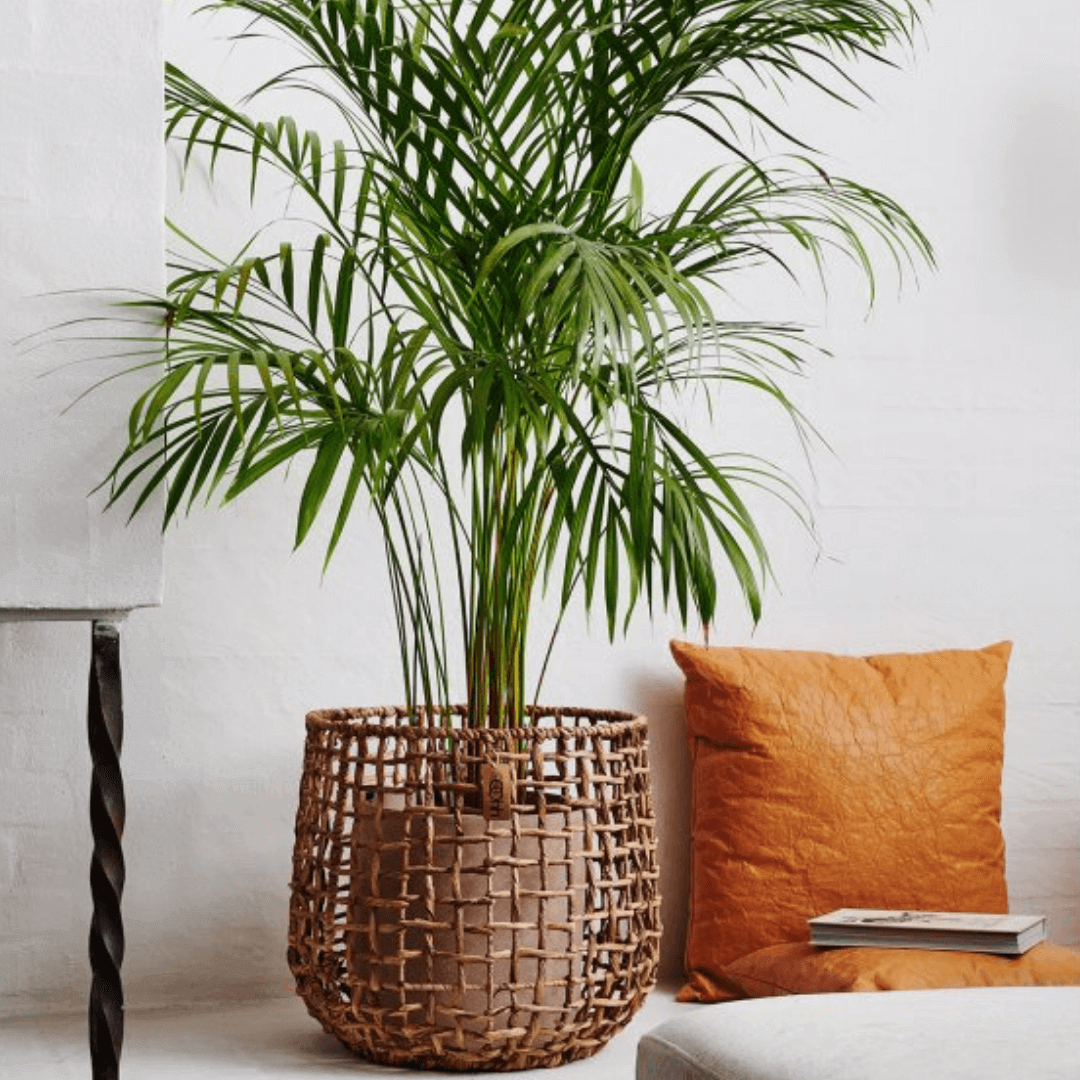 stor håndlavet kurv flettet i vandhyacint fra ooh collection hos nordicsimply