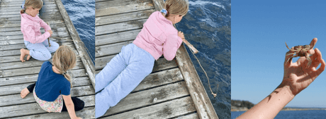 børn der fanger krabber fra badebro i Danmark