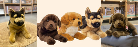 bamsehunde vist hos Nordic Simply: Stor schäferhund bamse ligger på tæppe, derefter stor brun Labrador, stor lys Golden Retriever og stor schäferhundbamse på lys baggrund, sidst stor brun Labrador-bamse i grå hundekurv.