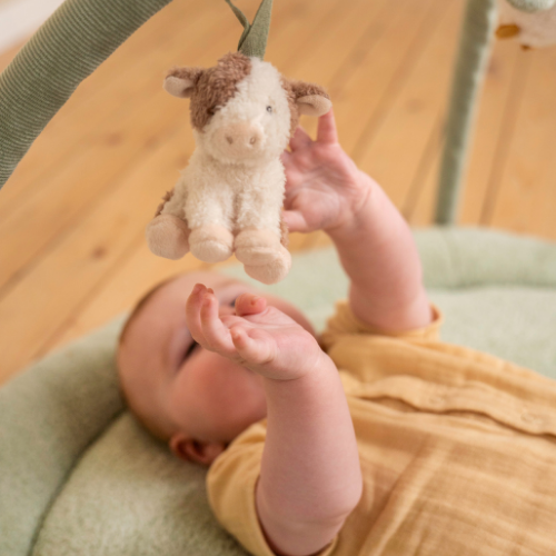 En baby rækker ud efter en blød høne på et lys grønt Little Dutch aktivitetstæppe.