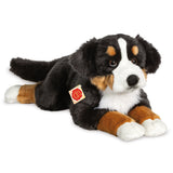 berner sennen bamsehund, stor sød og blød hundebamse, der ligger ned, måler hele 60 cm.