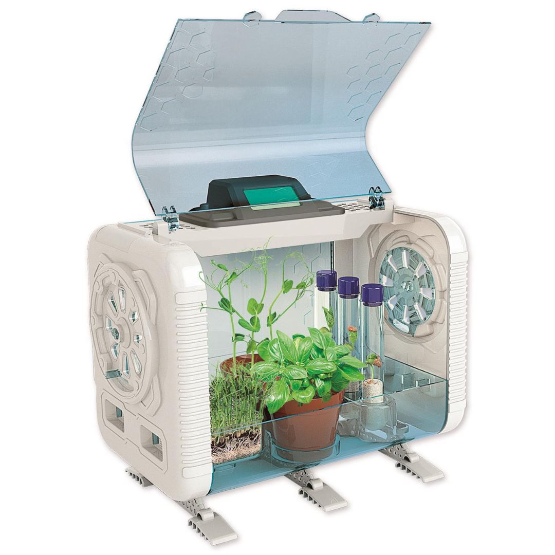 Drivhus indedørs - Dyrk egne planter med mini-drivhus til børn, du kan styre lys og temperatur.