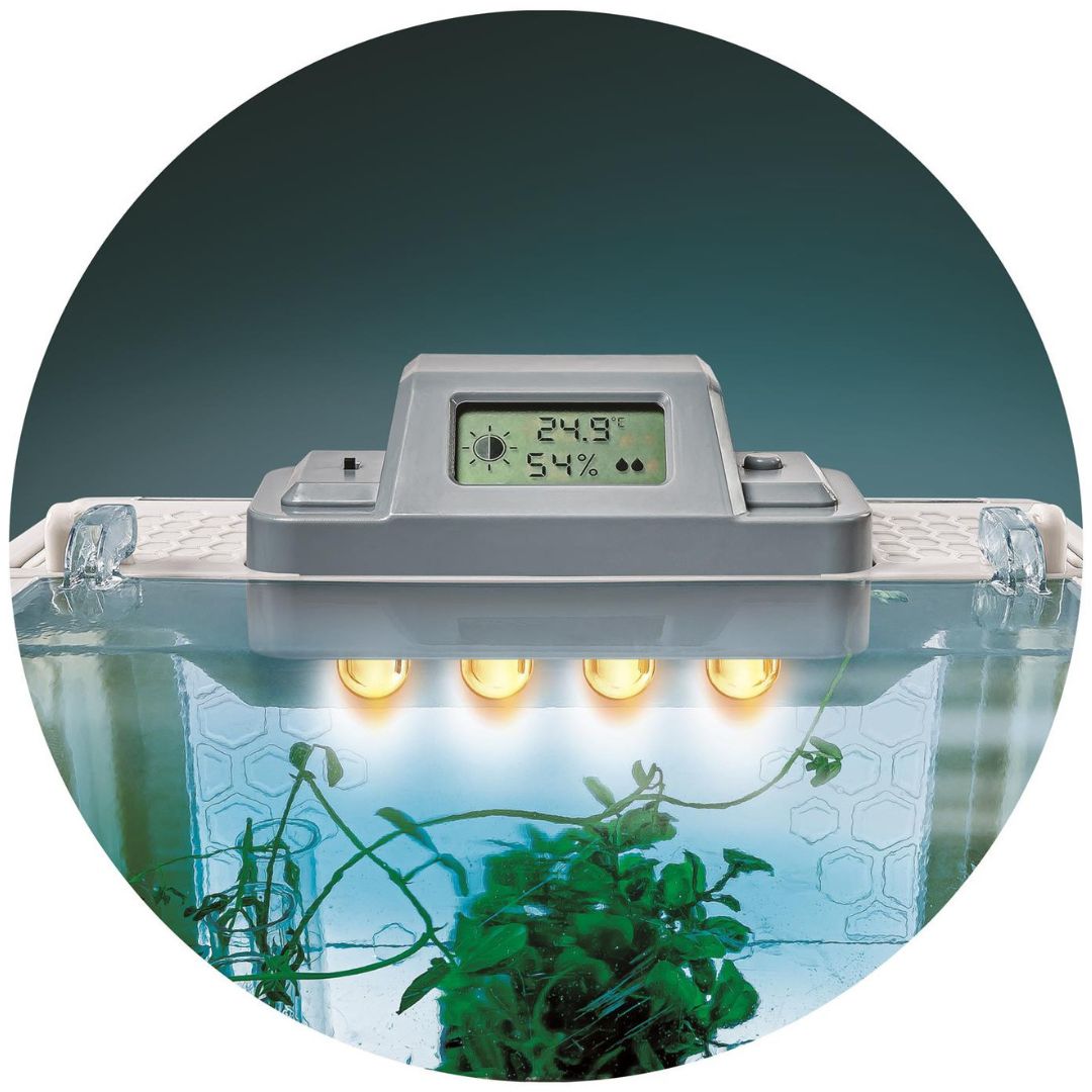 Drivhus indendørs- Dyrk egne planter og kontroller udviklingen med smart LCD-skærm og LED-lys.