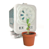 Mit drivhus - Dyrk egne planter indendørs med mini-drivhus, her set med plante i potte.