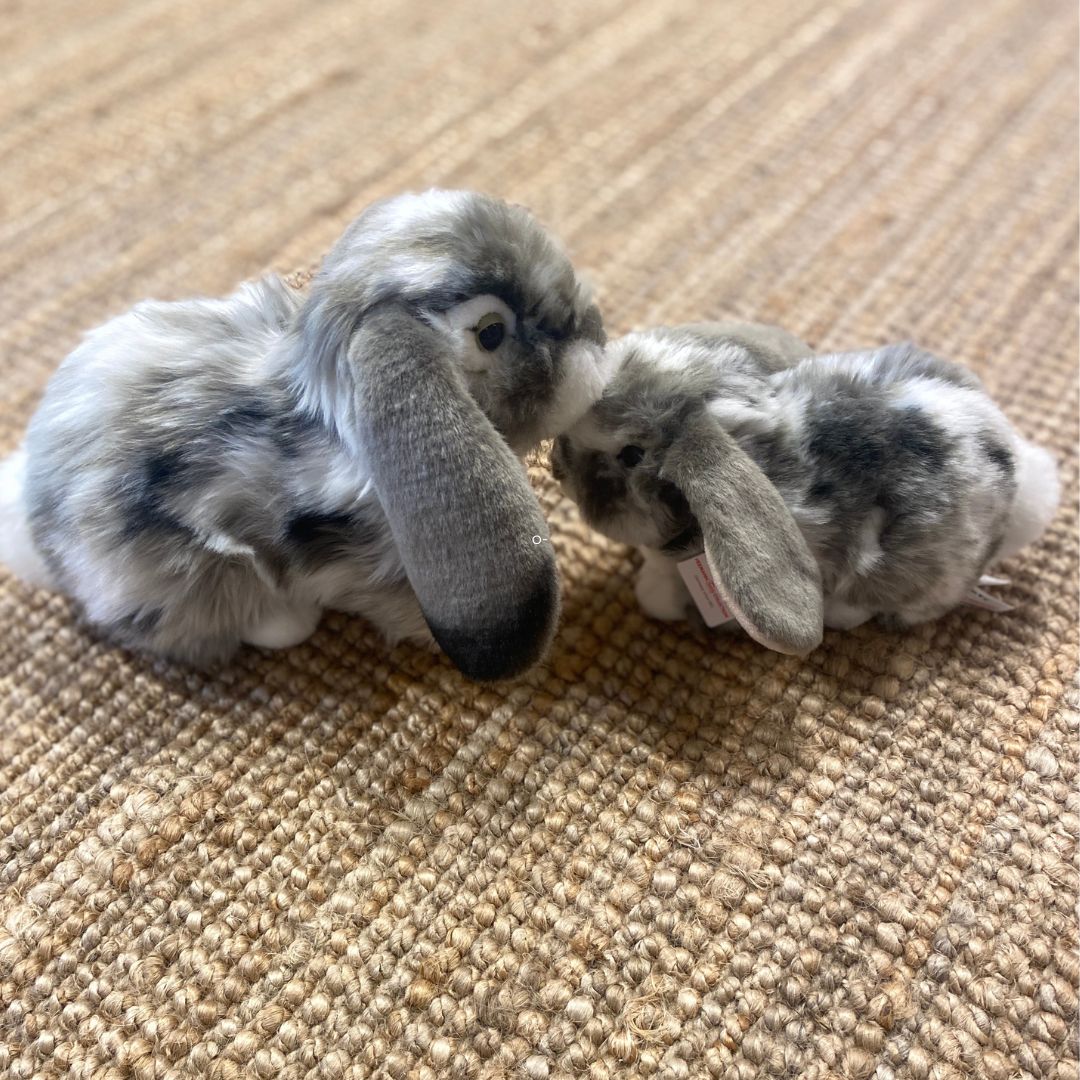 Kanin bamse dværgvædder grå, 23 cm med stor vædder kaninbamse 30 cm - to søde legetøjskaniner med hængeører, perfekt til leg og kram.