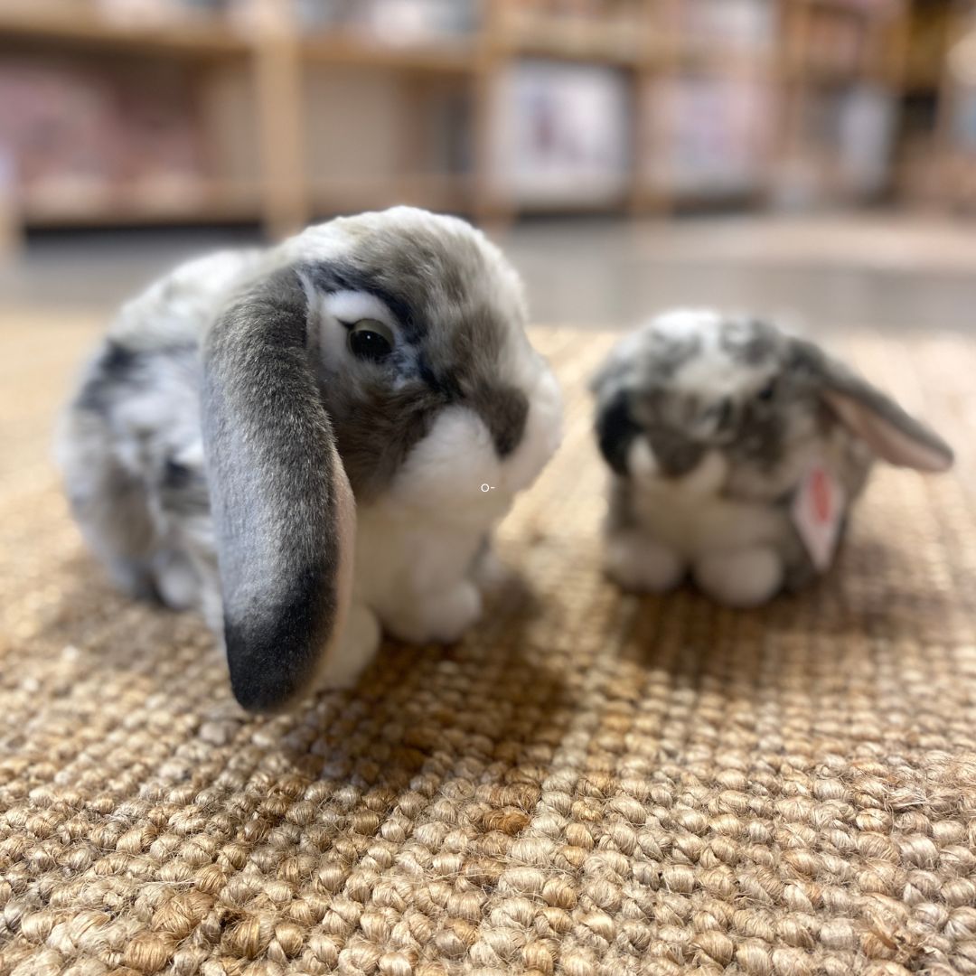 Grå-hvid vædder-kanin bamse med hængeører, ligner ægte kanin - her set sammen med dværgvædder kaninbamse - perfekt til rolle- og fantasileg, fra Teddy Hermann fås hos Nordic Simply