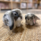 Grå-hvid vædder-kanin bamse med hængeører, ligner ægte kanin - her set sammen med dværgvædder kaninbamse - perfekt til rolle- og fantasileg, fra Teddy Hermann fås hos Nordic Simply