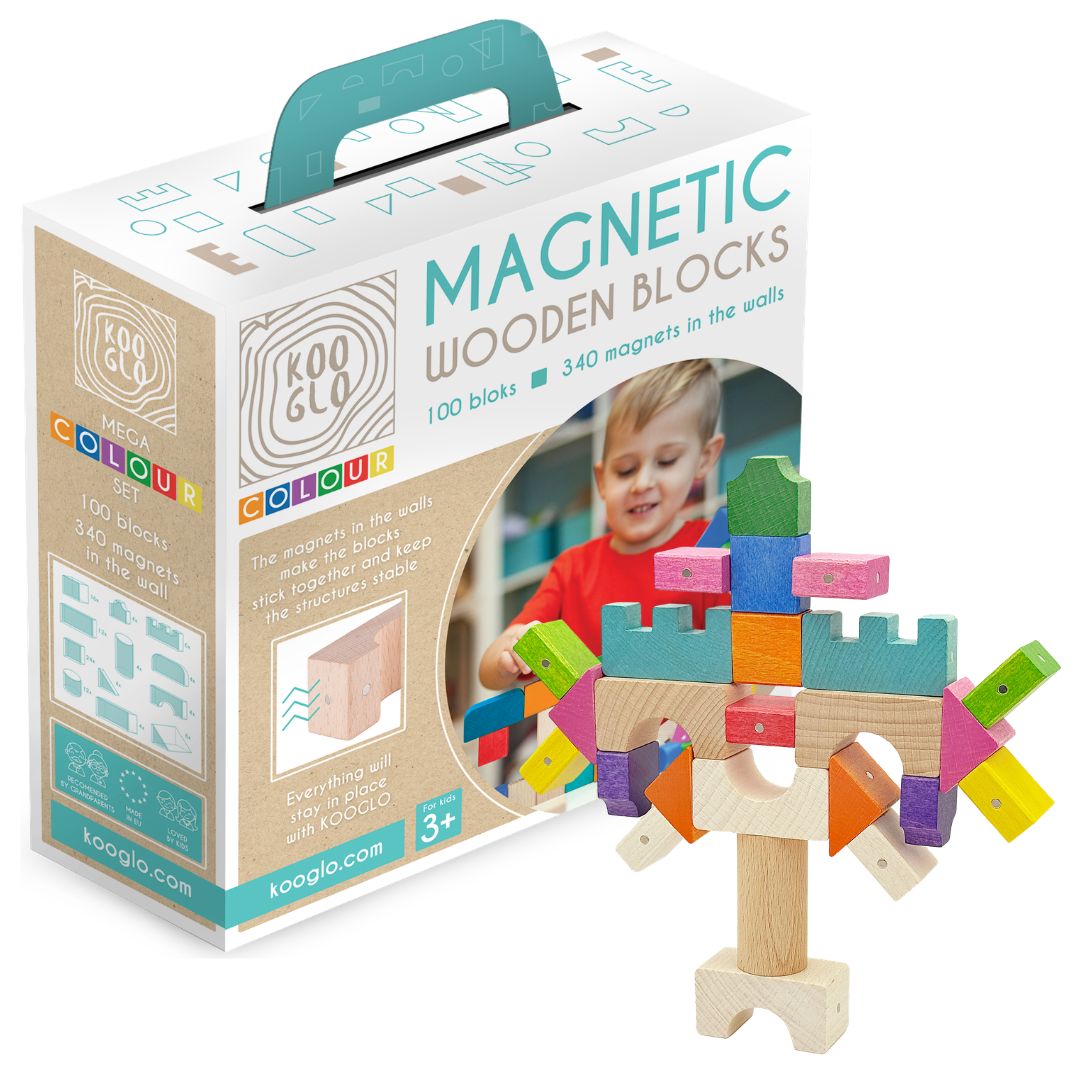 Byggeklodser magnetiske Stor 100 stk