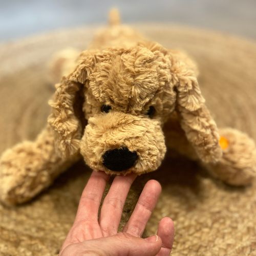 Lys beige Labradoodle bamse hund, som ligger, slasket bamse, set tæt på, til leg og fantasi for børn 0-10 år fra Teddy Hermann fås hos Nordic Simply