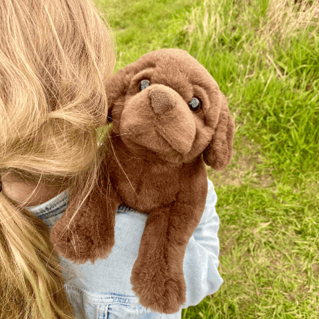 Sød labrador bamse i brun fra Teddy Hermann, krammet af et glad barn i naturen.