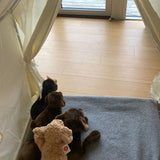 Legetelt stort, beige med stribet tag - med bamsehunde indeni, der kigger ud - klar til leg - et perfekt legetelt til børn til fantasifuld leg og hyggelige stunder.