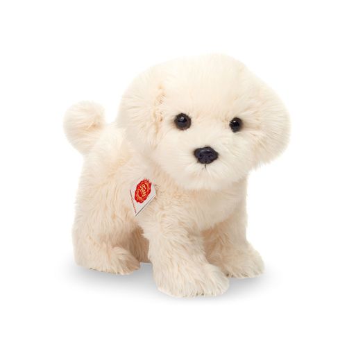 malteser bamse, hvid bichon hund måler 23 cm, perfekt til leg for børn