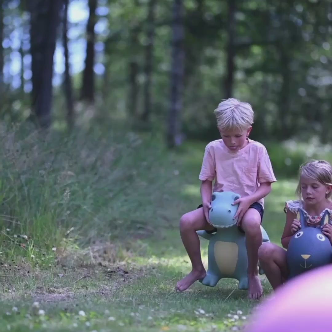 Børn der leger udenfor på hoppedyr og hoppebolde fra Find that Hippo, som  fås hos Nordic Simply